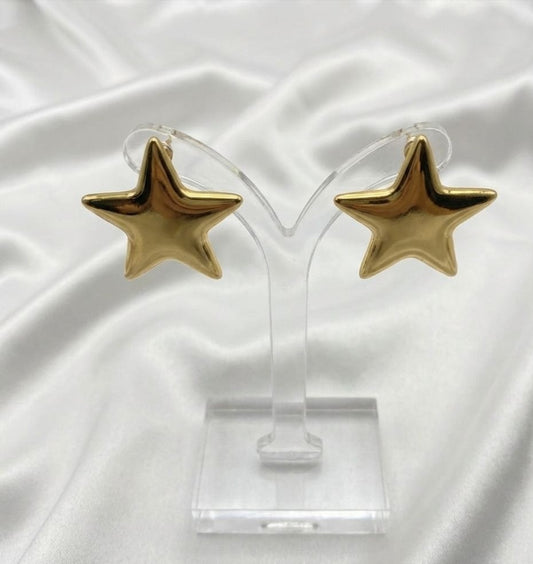 Aretes Estrella Lisa